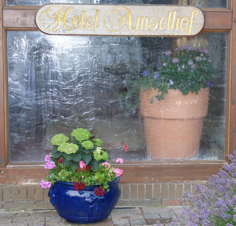 Hotel Amselhof Bispingen Ngoại thất bức ảnh